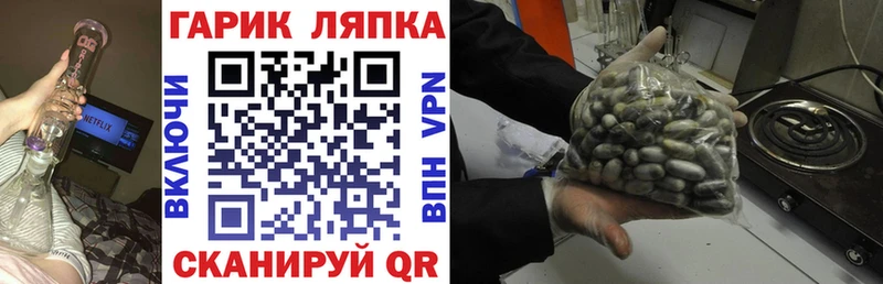 MEGA зеркало  Артёмовский  ГАШИШ Изолятор 