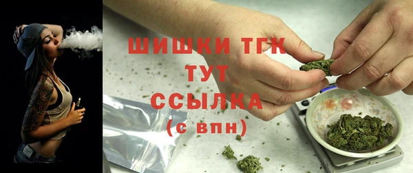 твердый Арсеньев