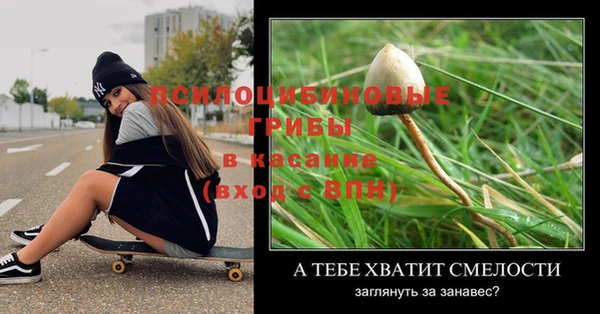 твердый Арсеньев