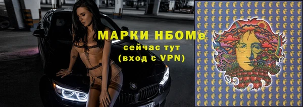 твердый Арсеньев